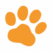 PitPat GPS logo